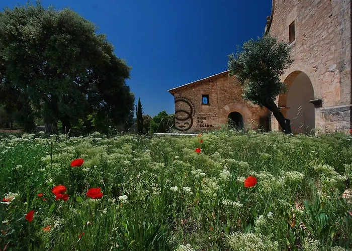 Hotel Consolacion Monroyo